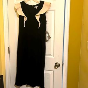 Beautiful black/cream dress.